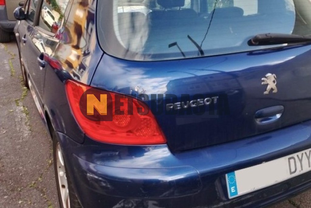 Peugeot 307 1.4 16v 2006