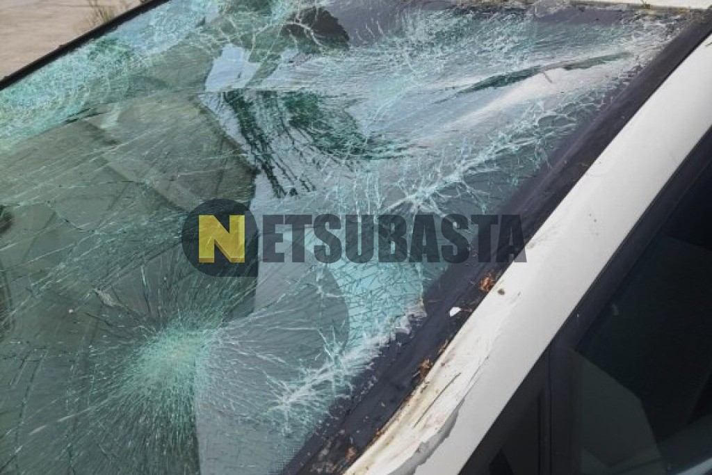 Seat Ibiza 1.6 TDI 2010