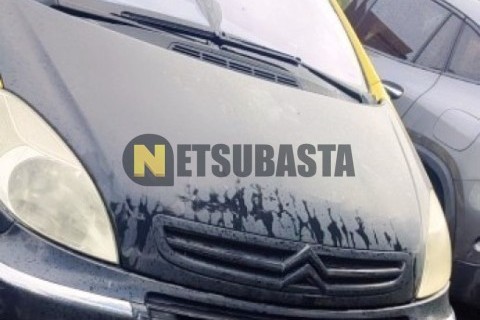 Wottan Storm-S 300 2022