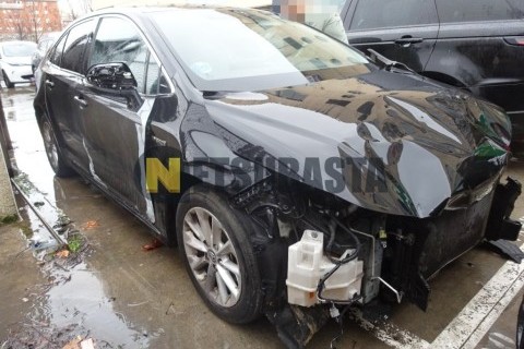 Wottan Storm-S 300 2022