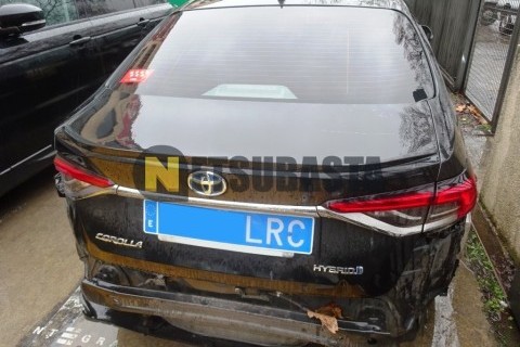 Wottan Storm-S 300 2022