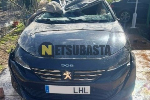 Wottan Storm-S 300 2022