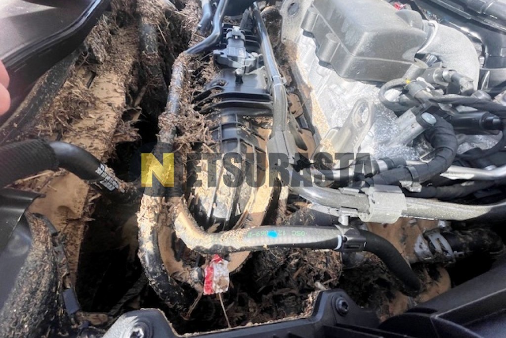 Volkswagen Polo 1.0 TSI 2024