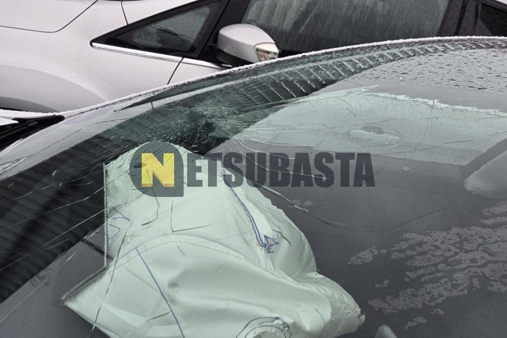 Tesla Model 3 Tracción trasera 2024