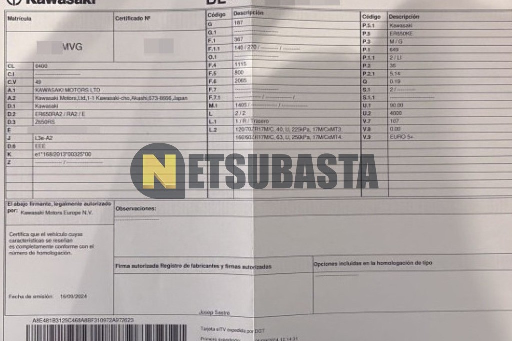 Kawasaki Z 650 RS 2024