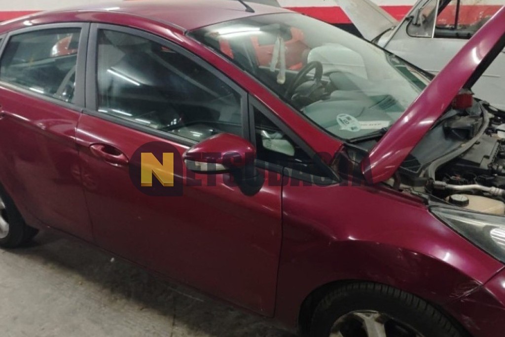 Ford Fiesta 1.4 TDCi 2010