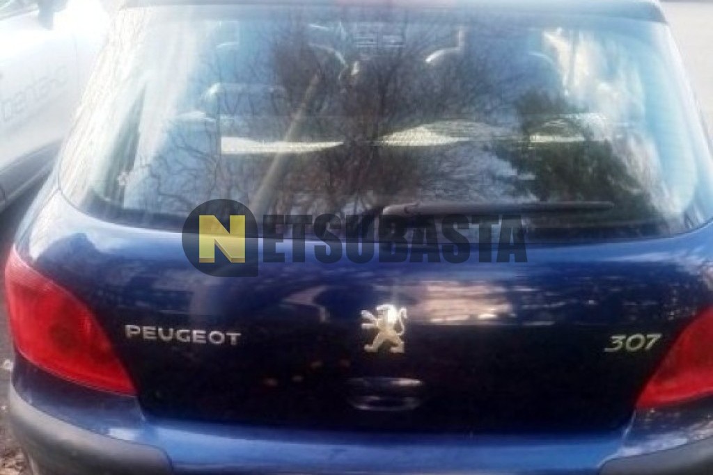 Peugeot 307 1.6 2002