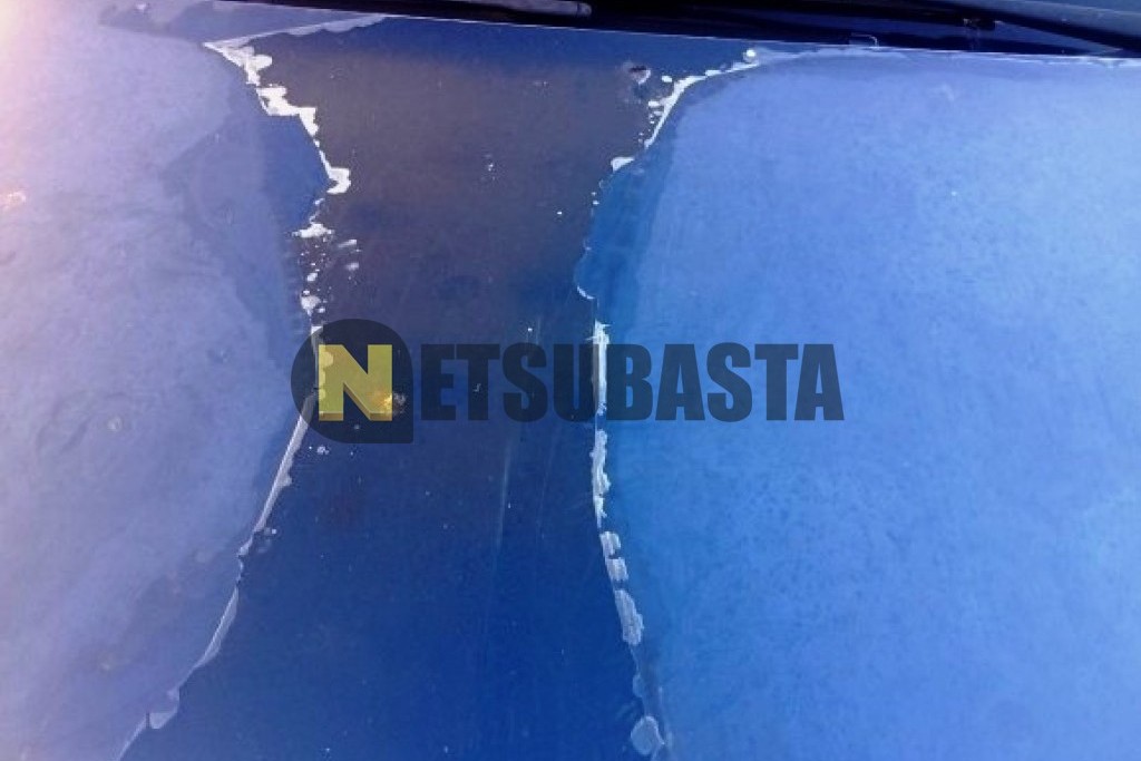 Opel Zafira 1.6 16V 2006