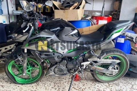 Kawasaki Z 500 2025