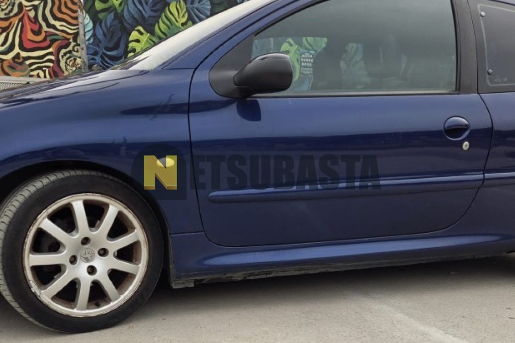 Peugeot 206 2.0 2002
