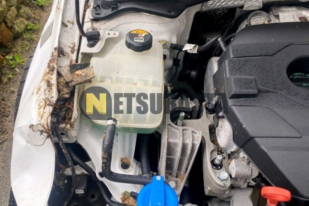 Hyundai i30 2.0 T-GDi N Performance 2020