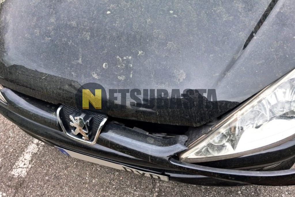 Peugeot 206 Coupé Cabrio 1.6 Aut. 2006