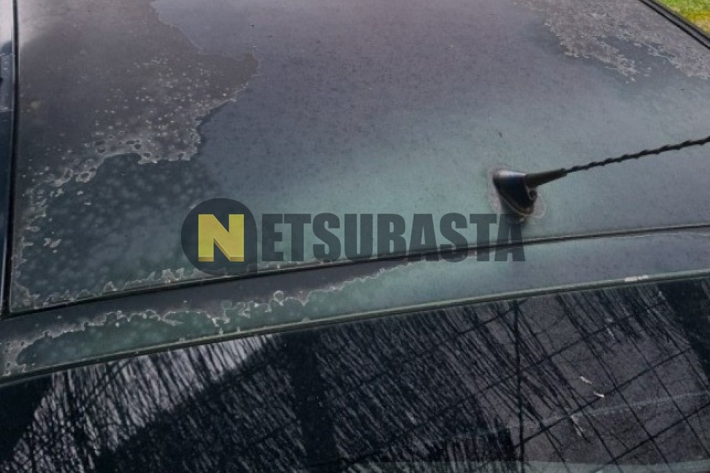 Opel Vectra 1.9 CDTI 2006