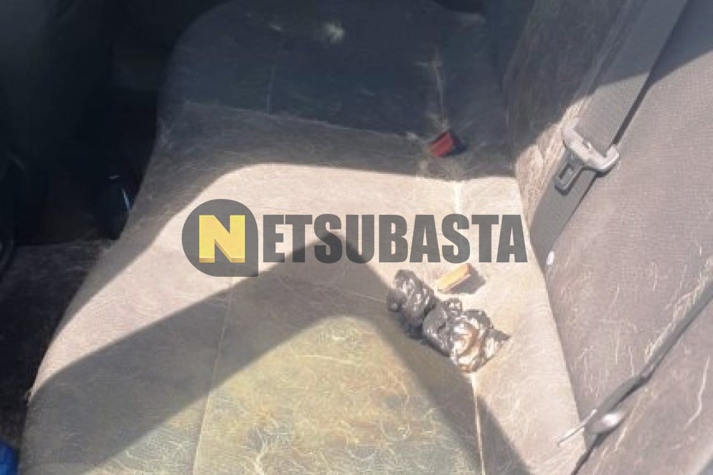 Opel Insignia 2.0 CDTI ecoFLEX 2010