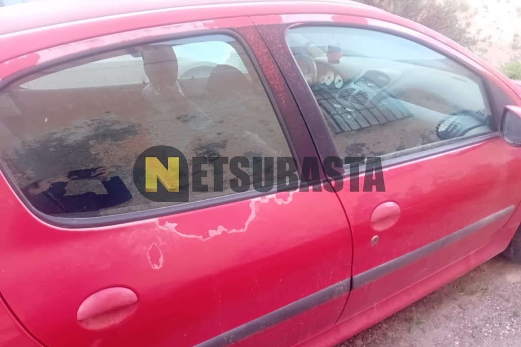 Peugeot 206 1.4 2005