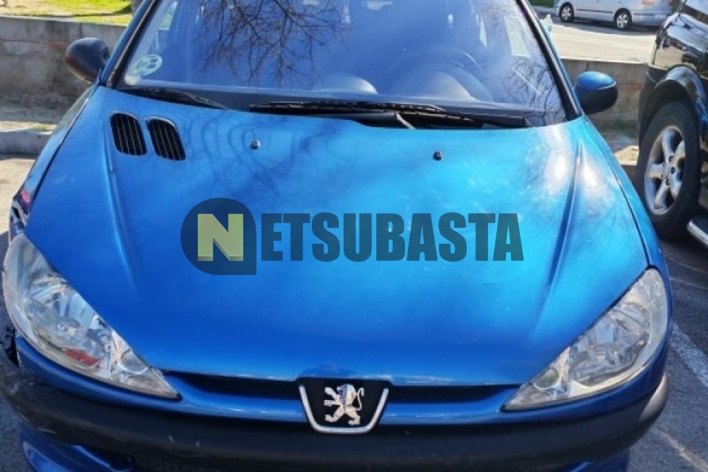 Peugeot 206 SW 1.4 2003