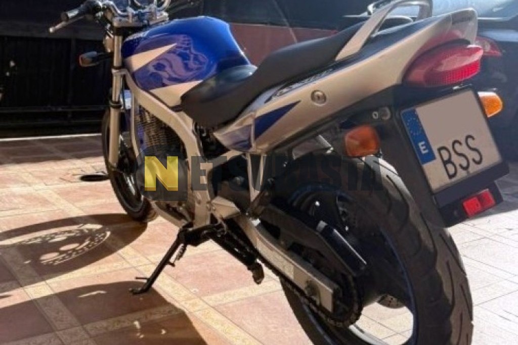 Suzuki GS 500 2002