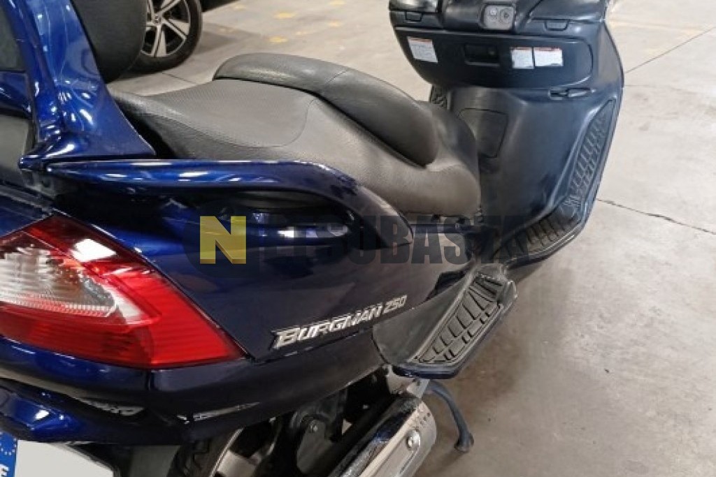 Suzuki BURGMAN 250 2005