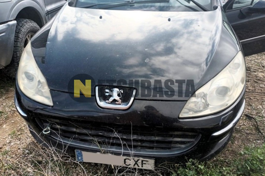 Peugeot 407 2.0 HDi 2004