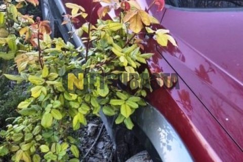 Yamaha XMAX 250 2007