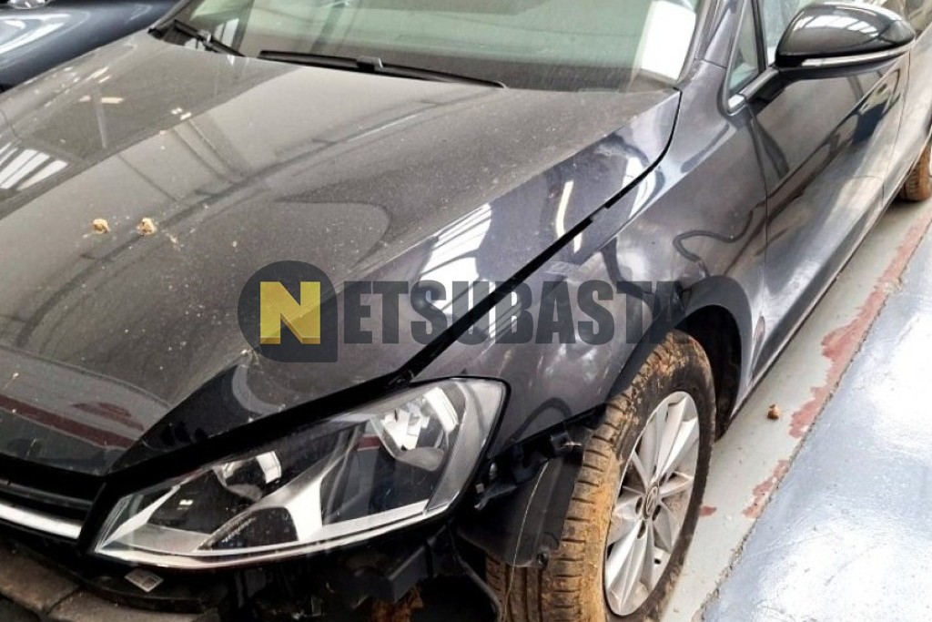 Volkswagen Golf 1.6 TDI 2013