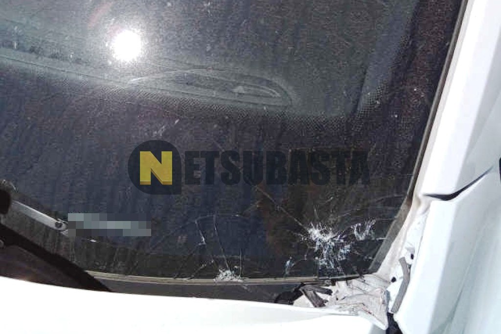 Volkswagen T-Roc 2.0 TDI DSG 2023