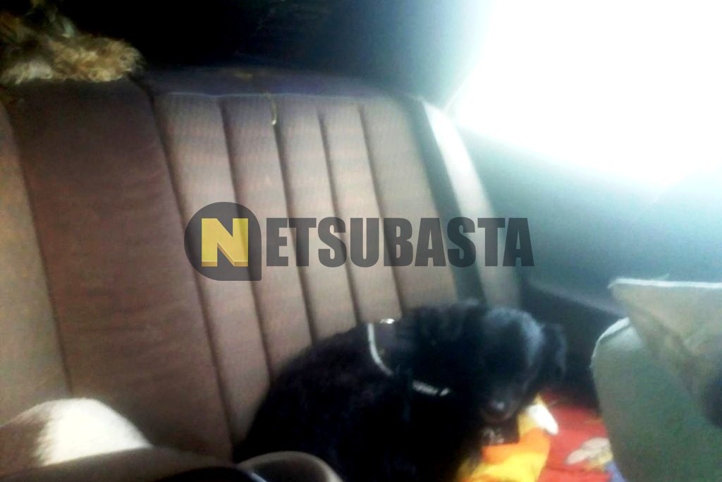 Mercedes-Benz 190 E 2.3 Aut. 1990