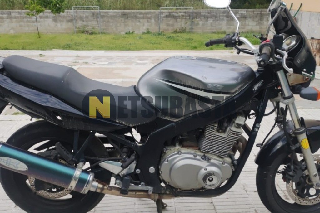 Suzuki GS 500 2007