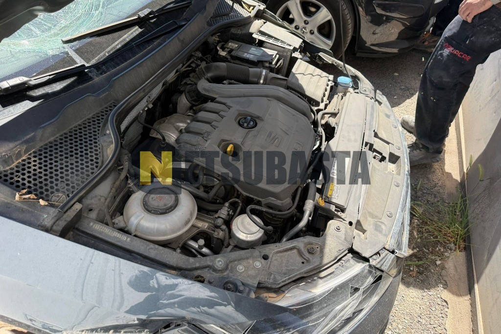 Seat León 1.5 EcoTSI 2019