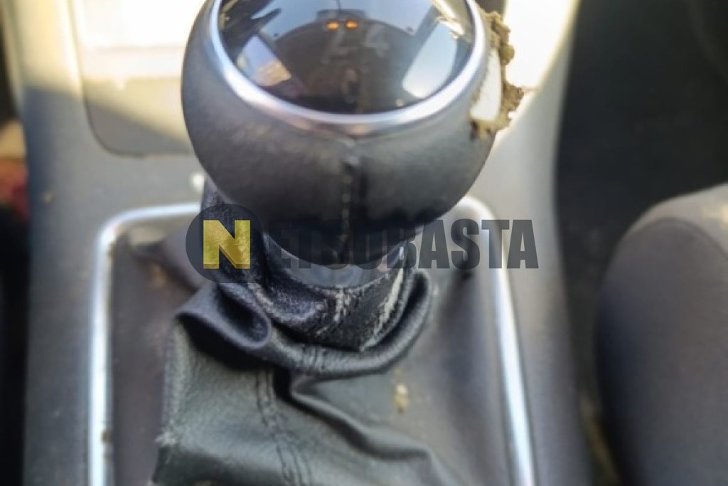 Volkswagen Golf Plus 1.9 TDI 2009