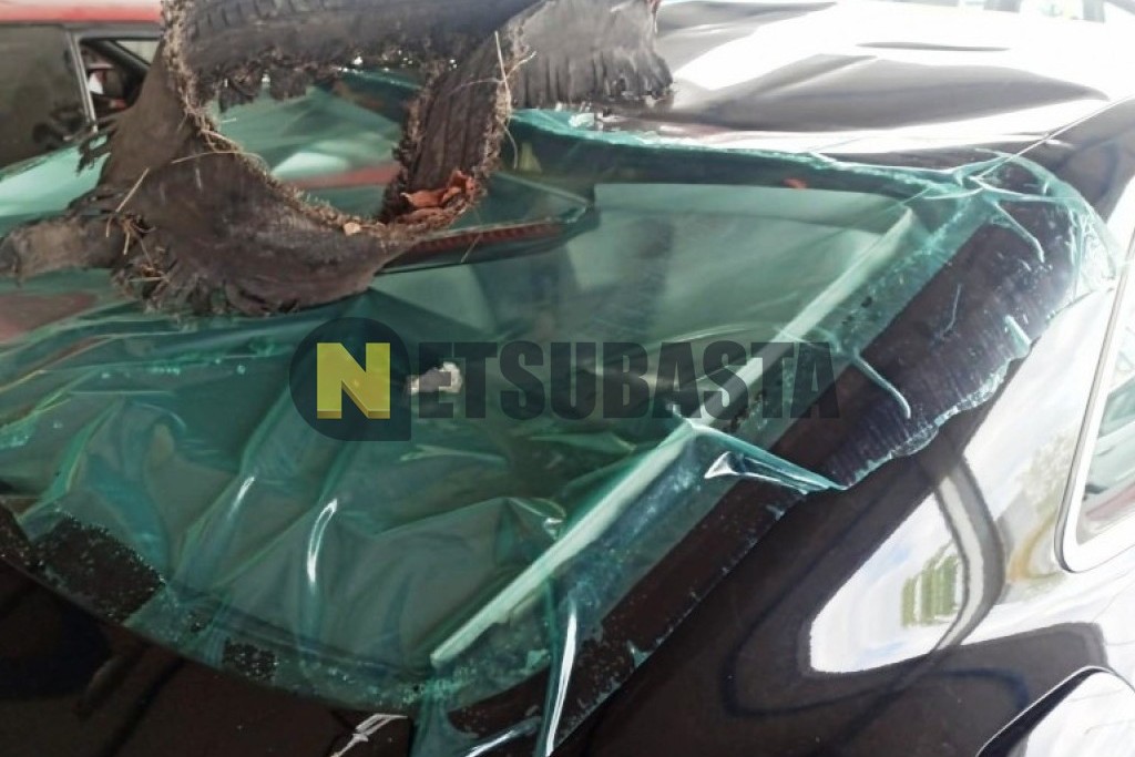 Audi A5 Coupe 2.7 TDI multitronic DPF 2011