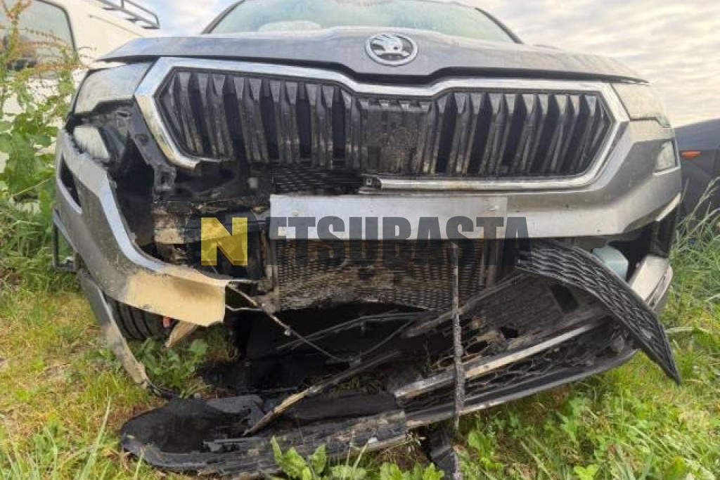 Skoda Karoq 2.0 TDI DSG 7 vel. 4x4 2022