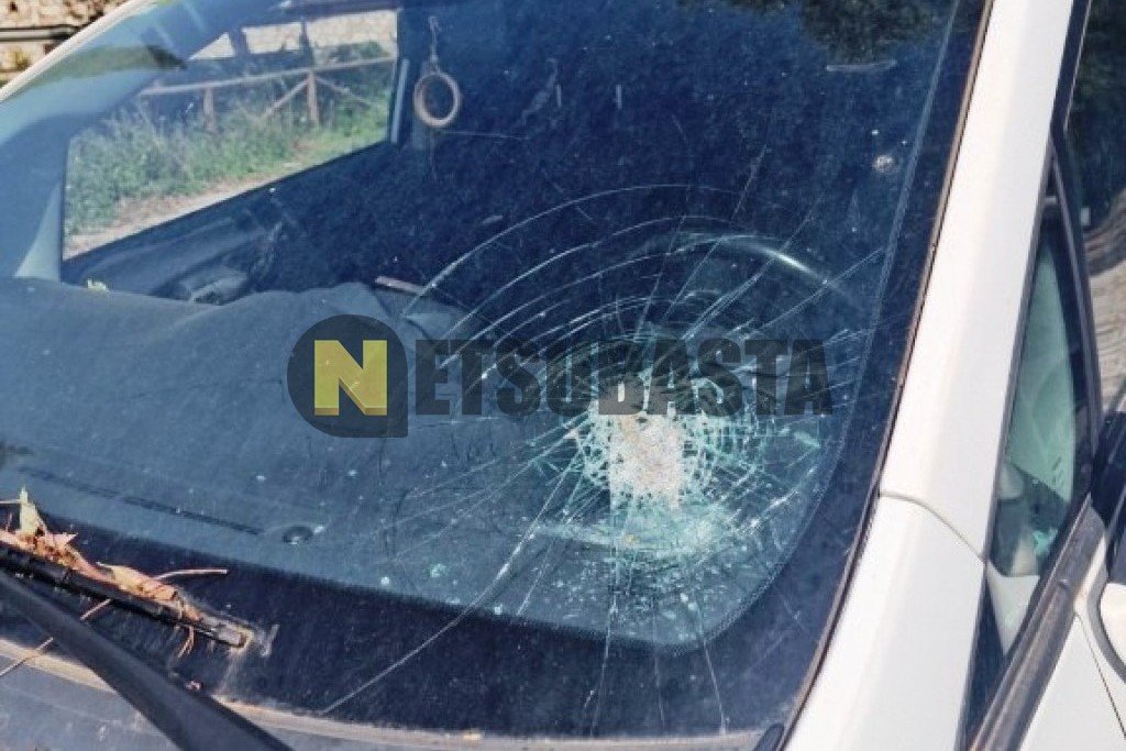 Toyota Verso 2.2 D-CAT AutoDrive S (7 plazas) 2009