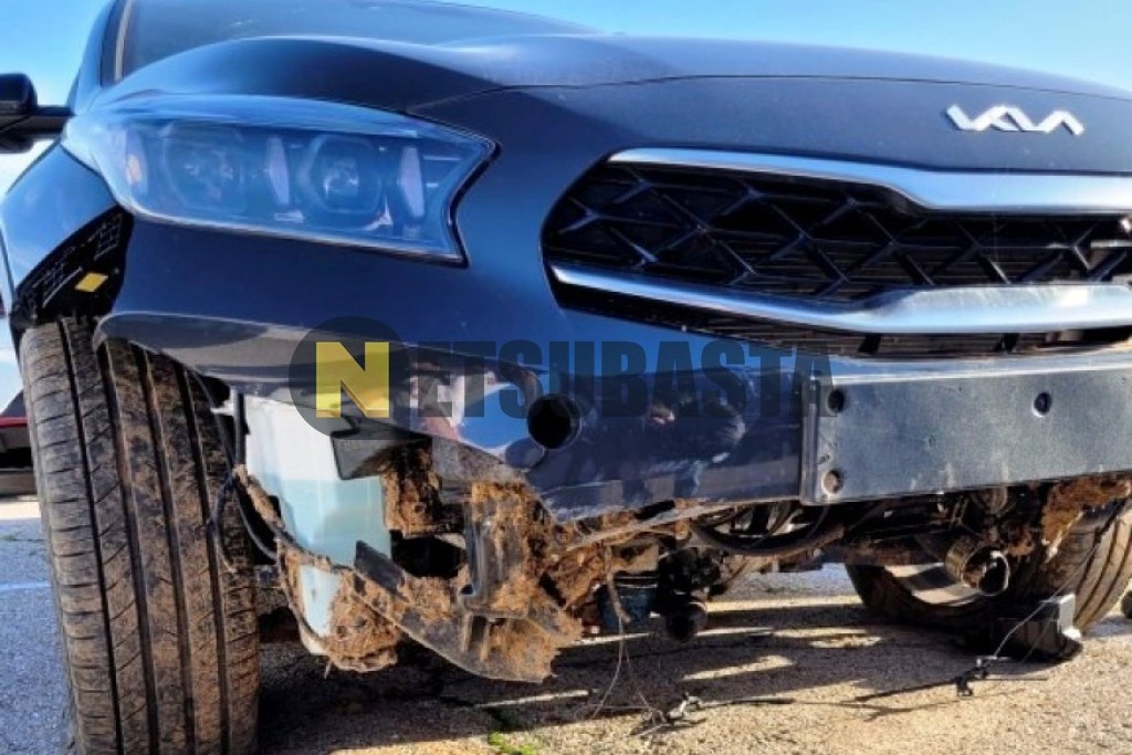 Kia XCeed 1.5 MHEV 2025