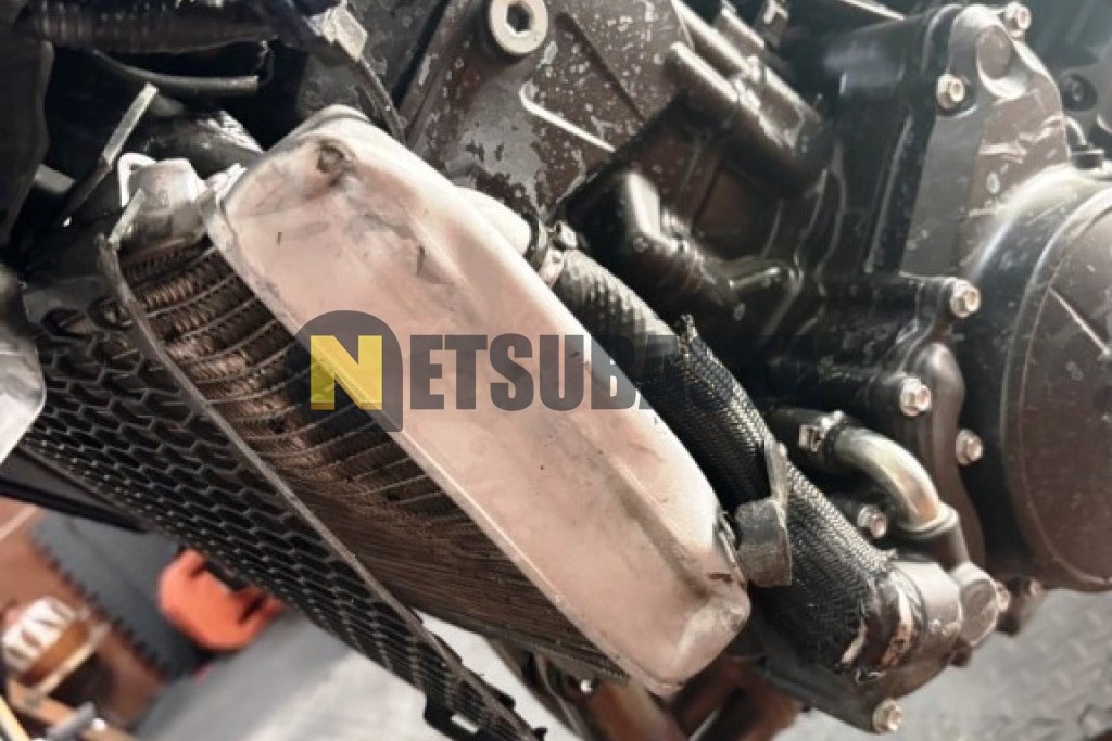 Honda CB 750 Hornet 2025