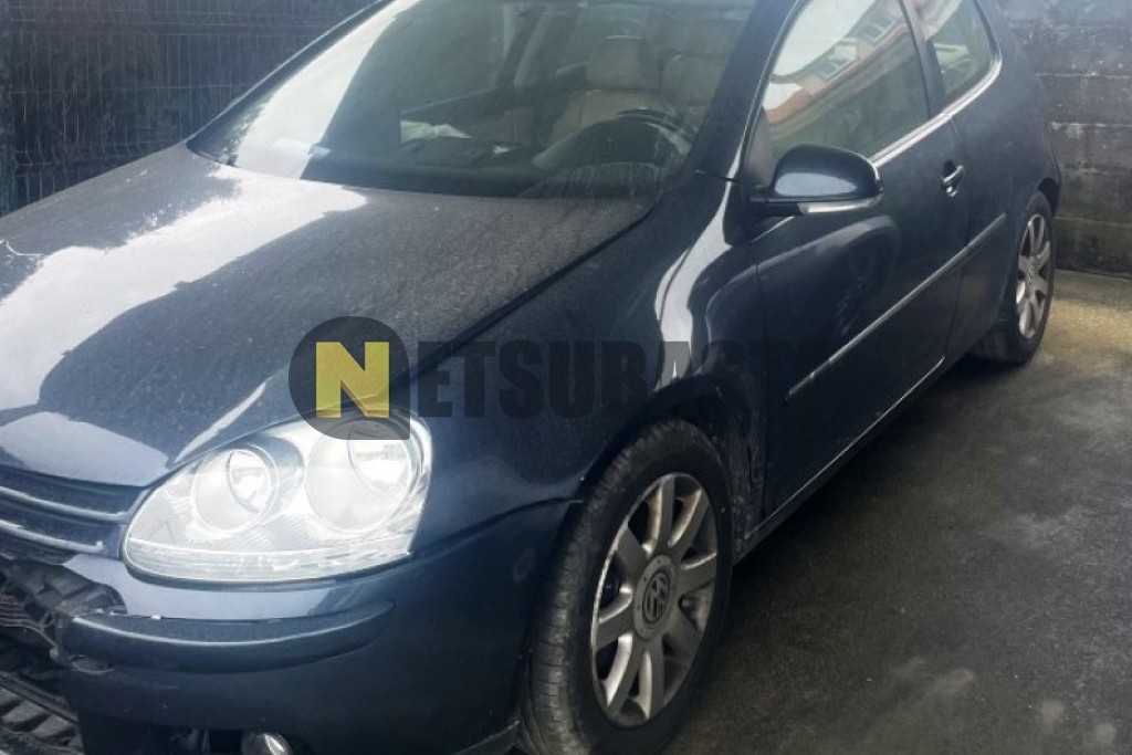 Volkswagen Golf 2.0 TDI 2006