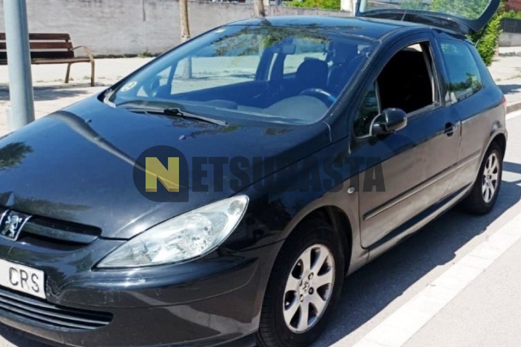 Peugeot 307 1.6 2004