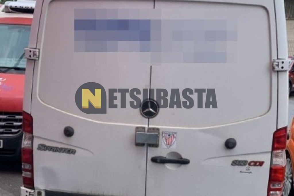 Mercedes-Benz Sprinter 313 CDI 2012