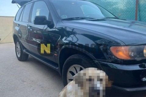 Yamaha XJ 600 S Diversion 1992