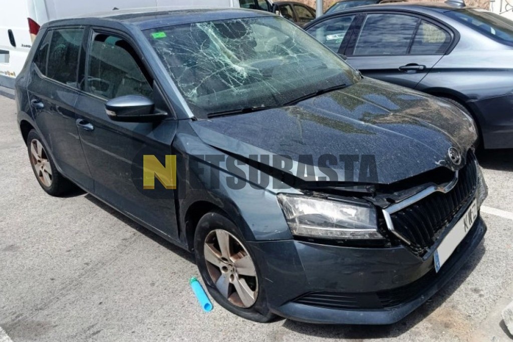 Skoda Fabia 1.0 TSI 2019