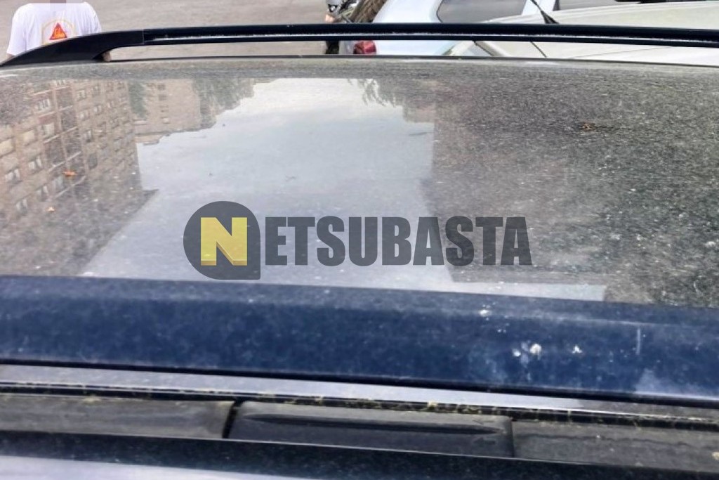 Toyota RAV4 D4D 2005