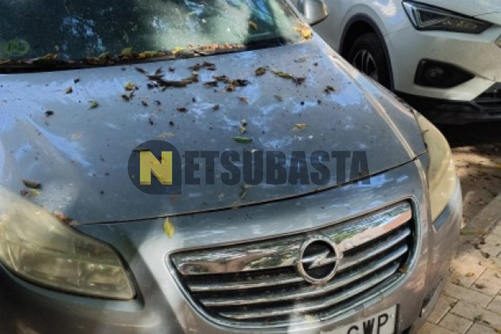 Opel Insignia Sports Tourer 2.0 CDTI ecoFLEX 2010