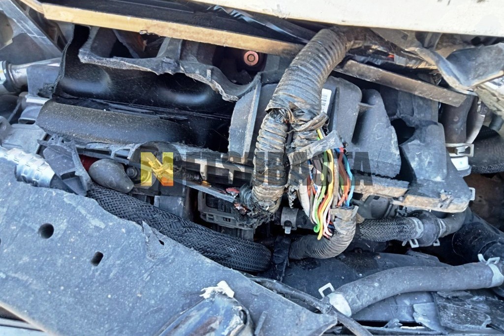 Kia XCeed 1.5 MHEV 2025
