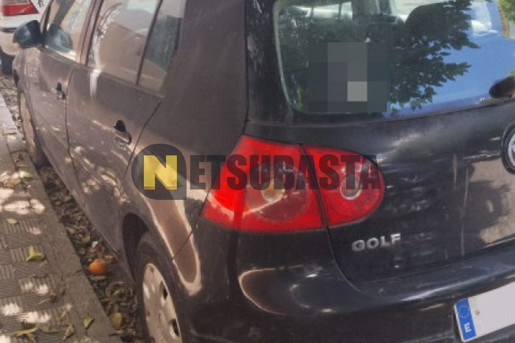 Volkswagen Golf 1.6 2006
