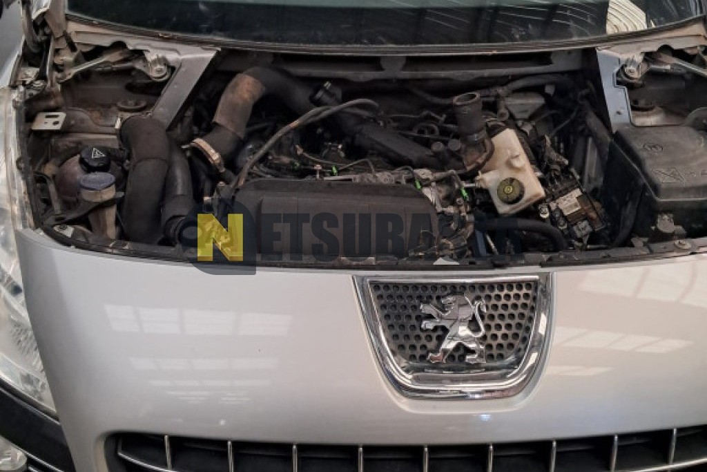 Peugeot 3008 2.0 HDI FAP 2009