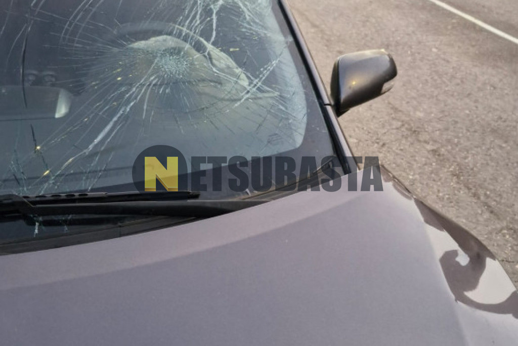 Toyota Auris 1.4 D-4D DPF 2010