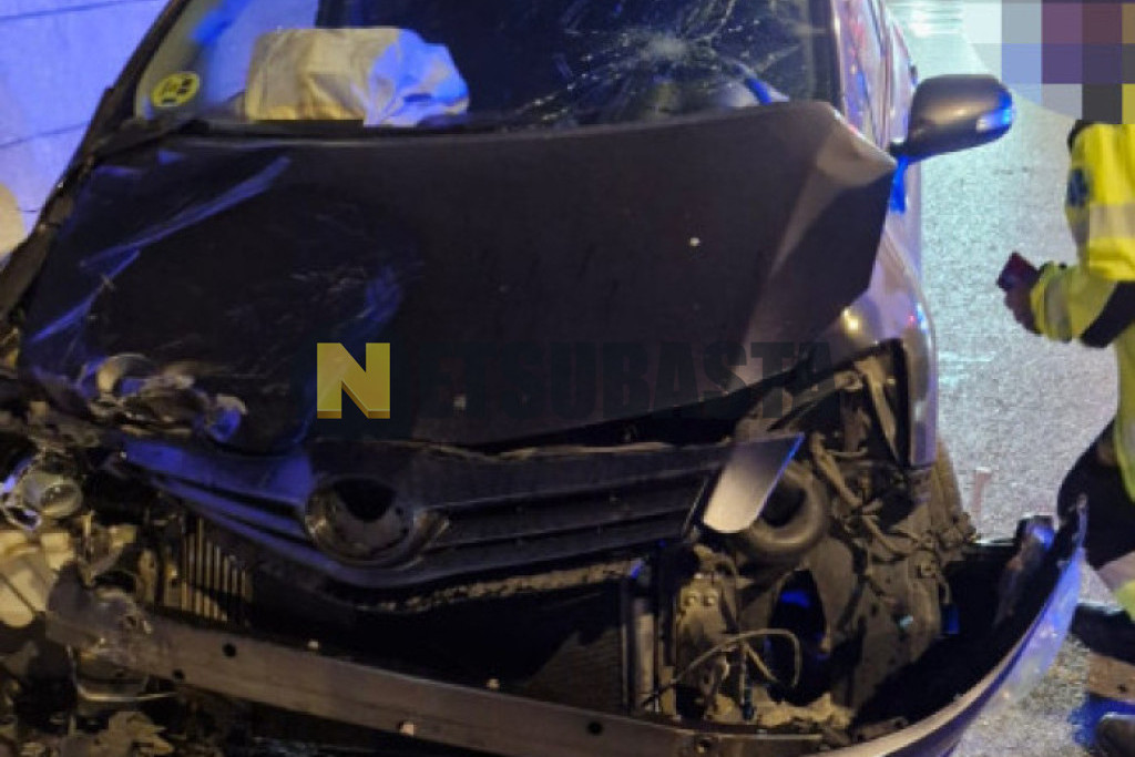Toyota Auris 1.4 D-4D DPF 2010