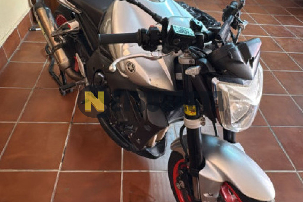 Yamaha FZ1 N 2009
