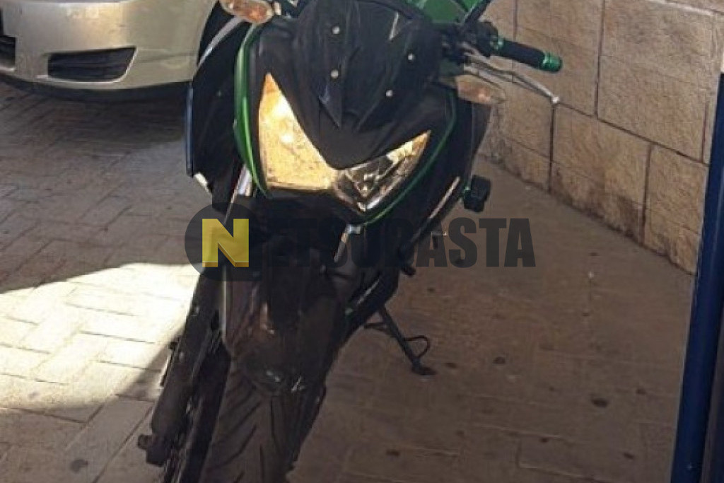 Kawasaki Z 300 2017