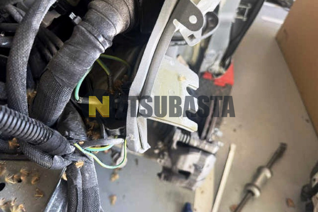 Citroën C4 1.2 Gasolina EAT8 2025